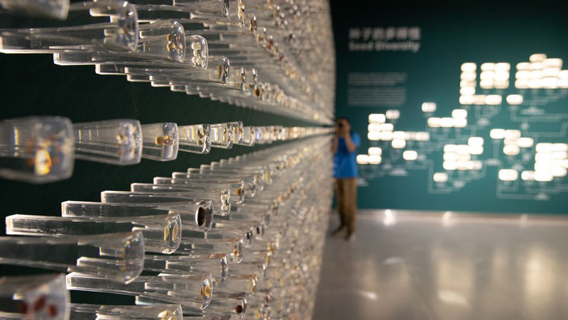 Innovation fuels China's seed industry