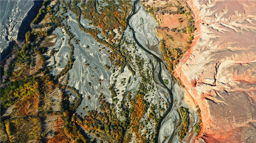 Autumn scenery of Red River Valley in NW China's Xinjiang