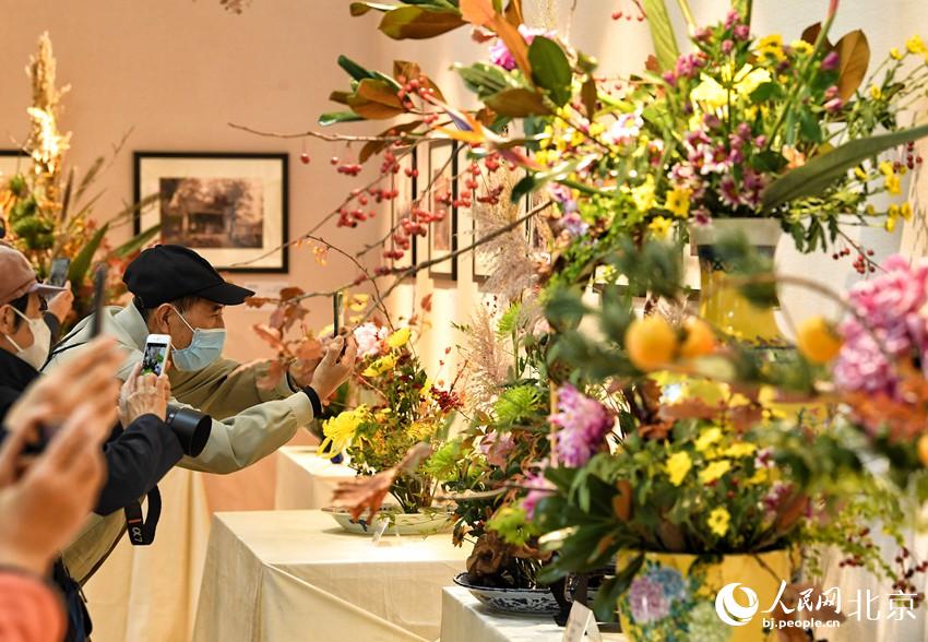 Over 15,000 chrysanthemums blossom in Beijing park