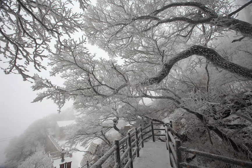 Snow-covered Yaoshan Mountain in Henan: a real-world wonderland