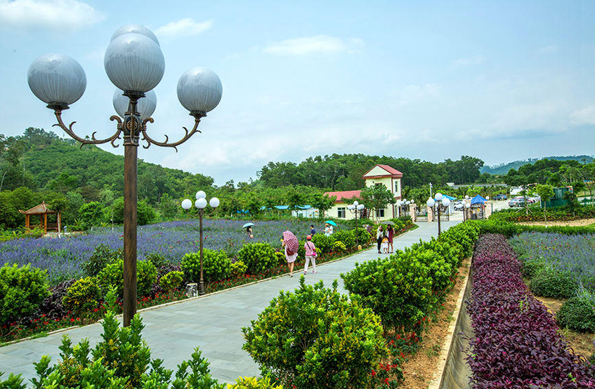 Shared homestay business booms in Hainan