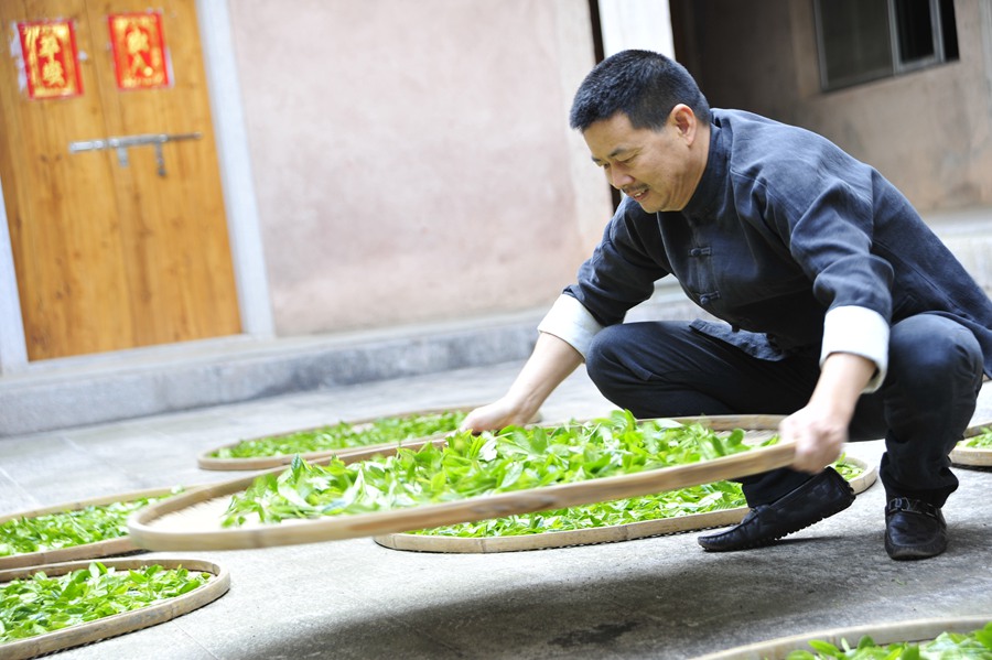 Photo shows Wei Yuede drying tea leaves. (Photo courtesy of Wei Yuede)