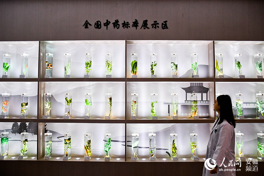 Over 10,000 medicinal specimens in E China's Anhui showcase splendid history of TCM research