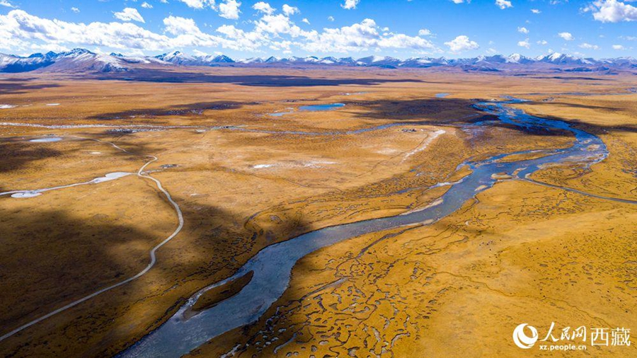 Nagqu city in Tibet takes vigorous measures to protect wetlands