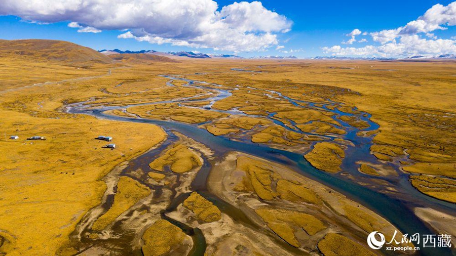 Nagqu city in Tibet takes vigorous measures to protect wetlands