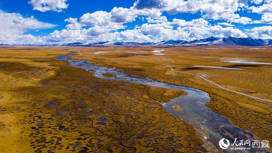 Nagqu city in Tibet takes vigorous measures to protect wetlands