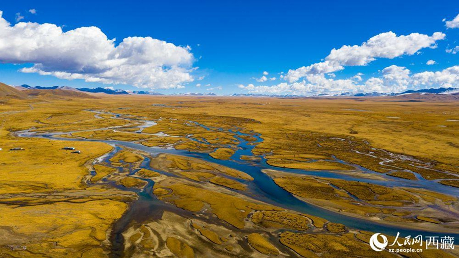 Nagqu city in Tibet takes vigorous measures to protect wetlands