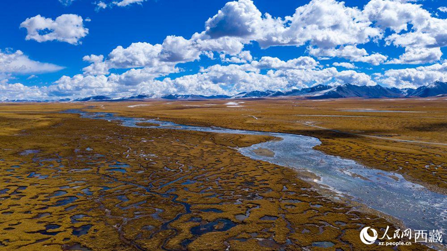 Nagqu city in Tibet takes vigorous measures to protect wetlands