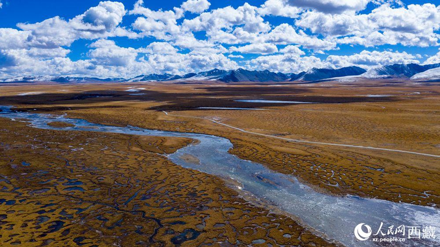 Nagqu city in Tibet takes vigorous measures to protect wetlands