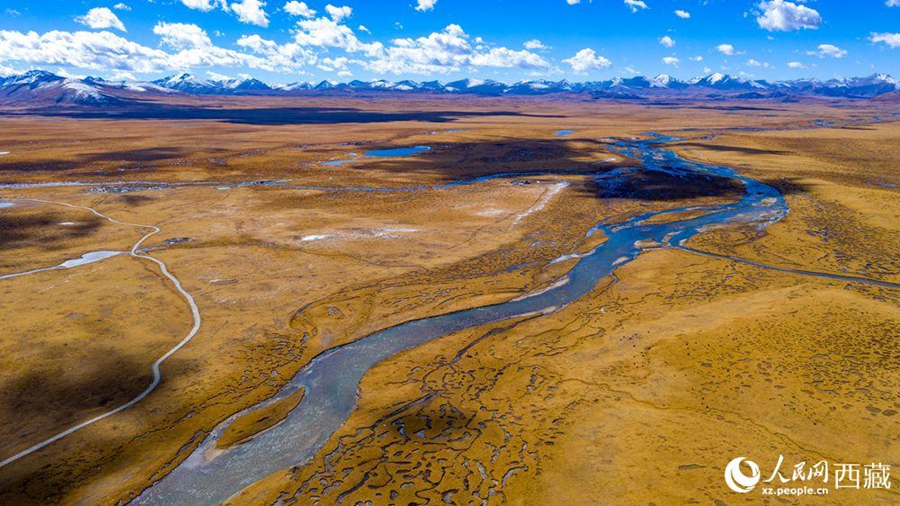 Nagqu city in Tibet takes vigorous measures to protect wetlands