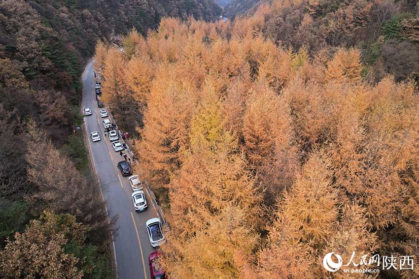 Picturesque autumn in Qinling Mountains