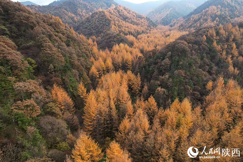 Picturesque autumn in Qinling Mountains