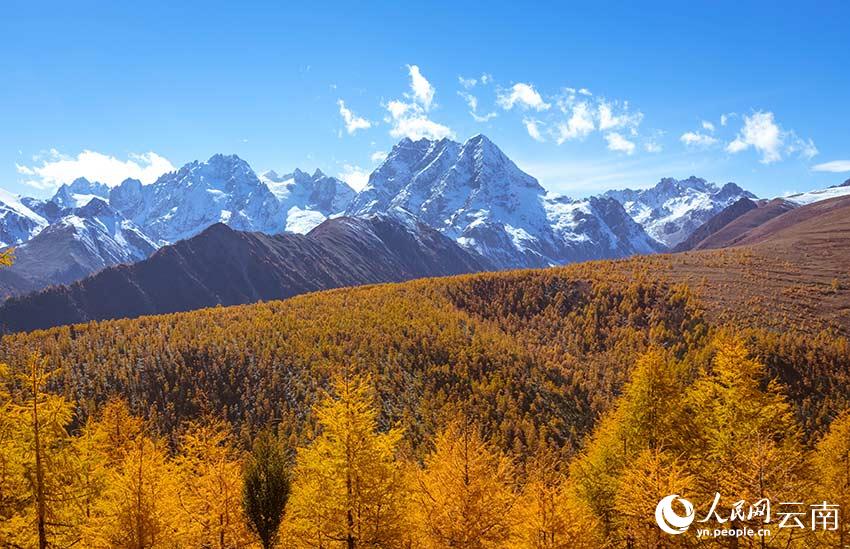 Autumn scenery at Baima Snow Mountain Natural Reserve in SW China’s Yunnan