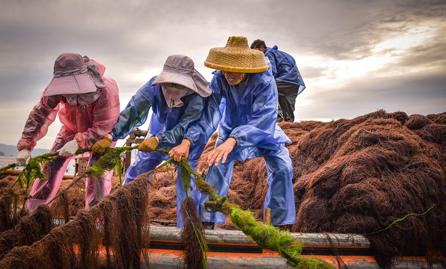 Explore simple, idyllic fishermen's life in Fujian's small village