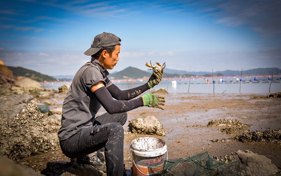 Explore simple, idyllic fishermen's life in Fujian's small village