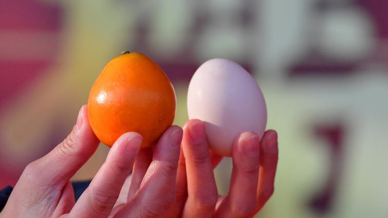 "Kumquats King" Contest held in S China's Guangxi