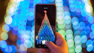 Christmas tree lit up in Bethlehem