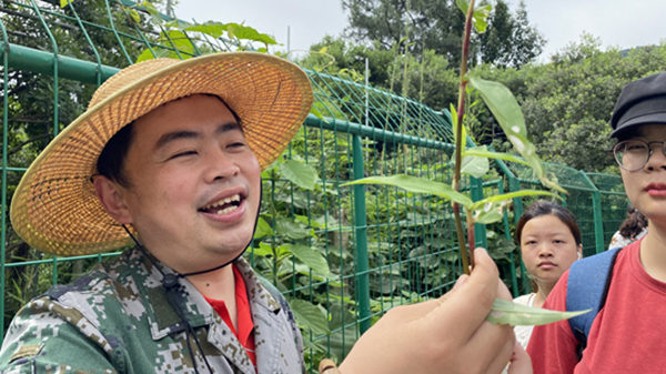 TCM teacher passionate about integrating theoretical knowledge with practice