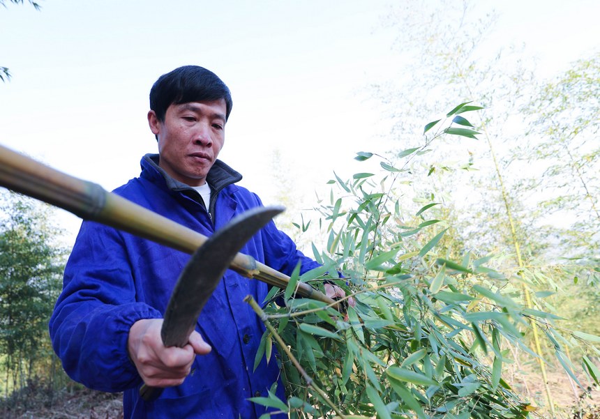 Man in SW China’s Guizhou devotes 30 years to bamboo flute carving