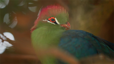 Yunnan: law of nature