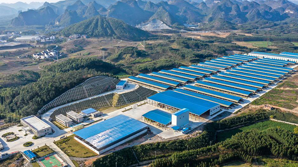 "Pairing assistance" program helps rural revitalization