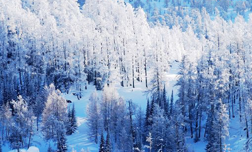 Stunning winter scenery at Kanas Lake in China's Xinjiang