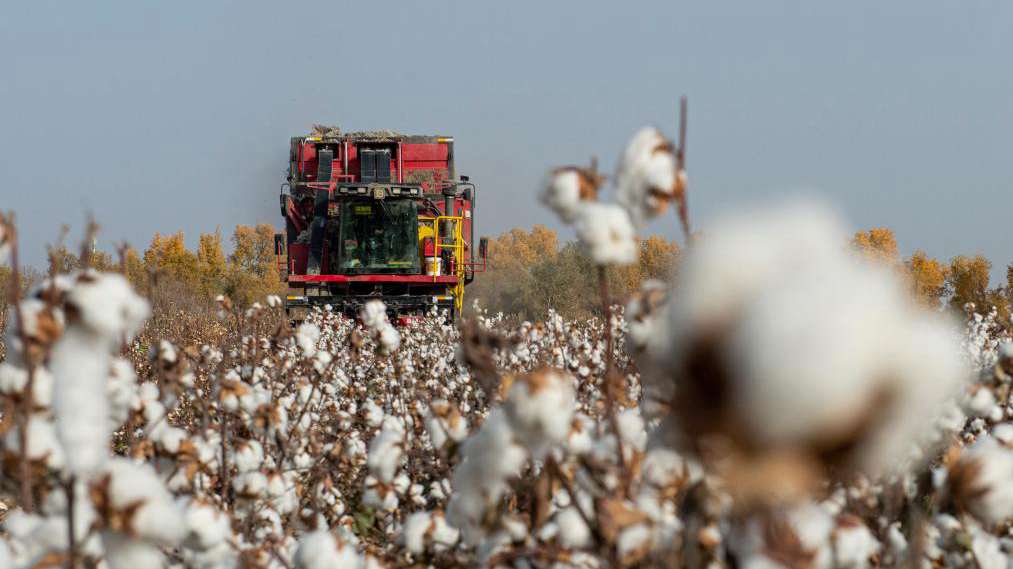 U.S. ban on Xinjiang cotton to further disturb global supply chain, says expert