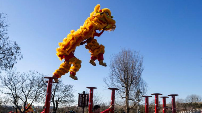 Various activities held across China during New Year holiday