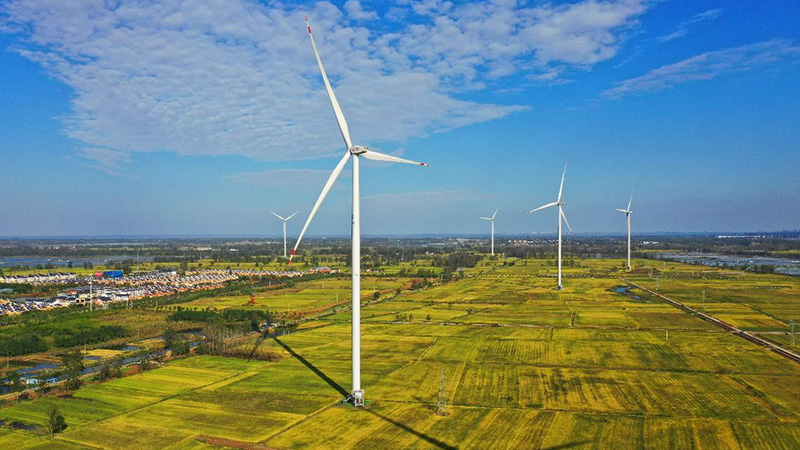 China pushes ahead with carbon peak, neutrality in orderly manner