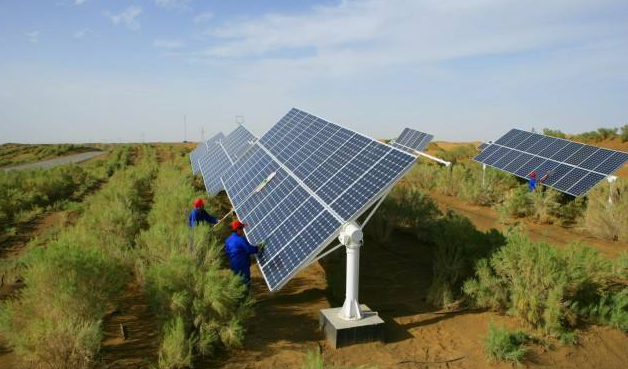 Irrigation to go solar for shelterbelt in Xinjiang's desert