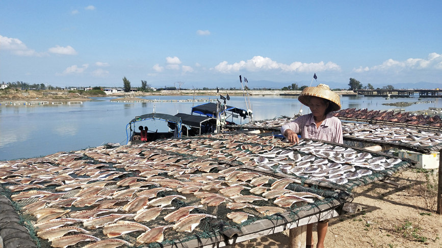 Fishermen in S China's Hainan dry their catch in the winter sun
