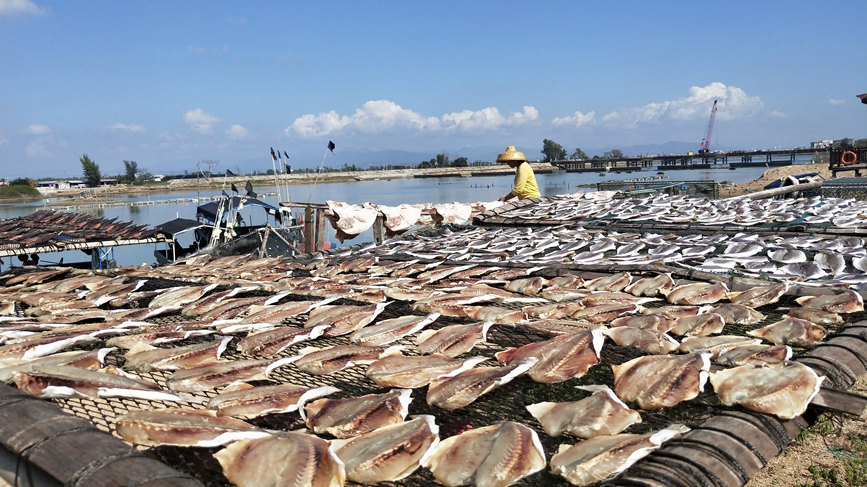 Fishermen in S China's Hainan dry their catch in the winter sun