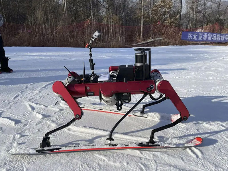 Chinese university develops skiing robot