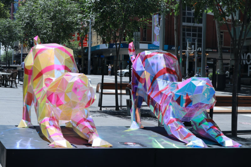 Sydney streets decorated with zodiac lanterns to celebrate Chinese New Year