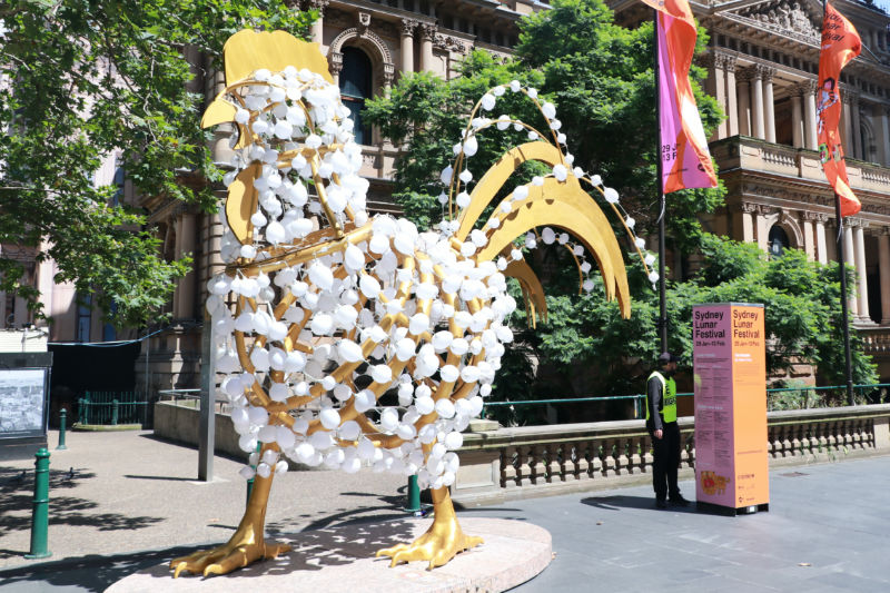 Sydney streets decorated with zodiac lanterns to celebrate Chinese New Year