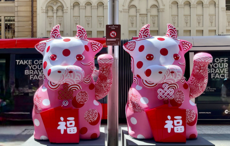 Sydney streets decorated with zodiac lanterns to celebrate Chinese New Year