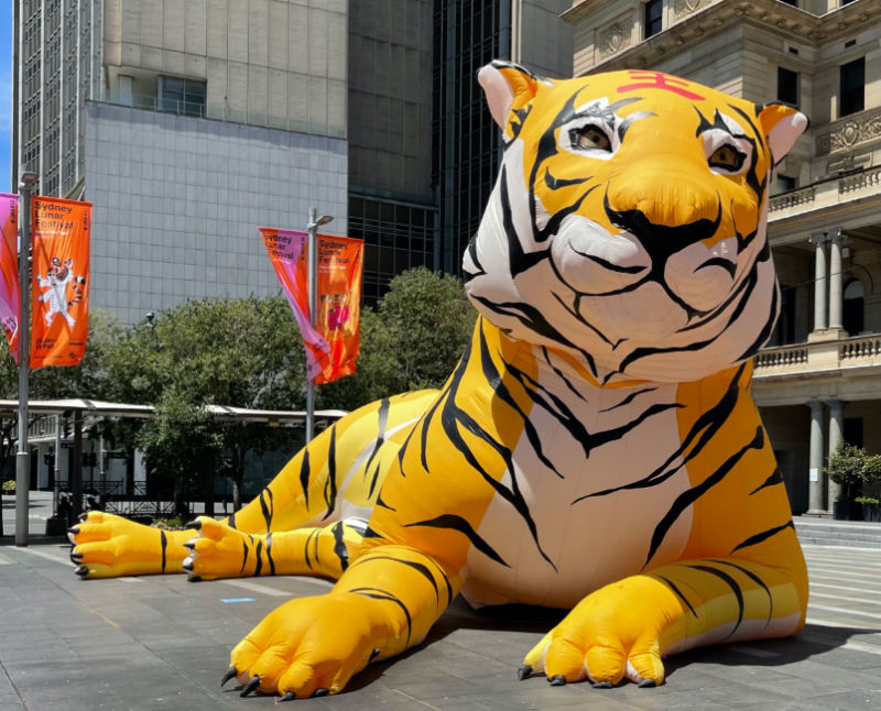 Photos: Decorations for Chinese Lunar New Year adorn the streets of Sydney