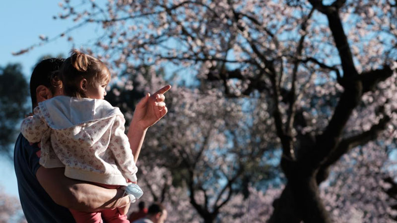 People enjoy spring blooms in Madrid
