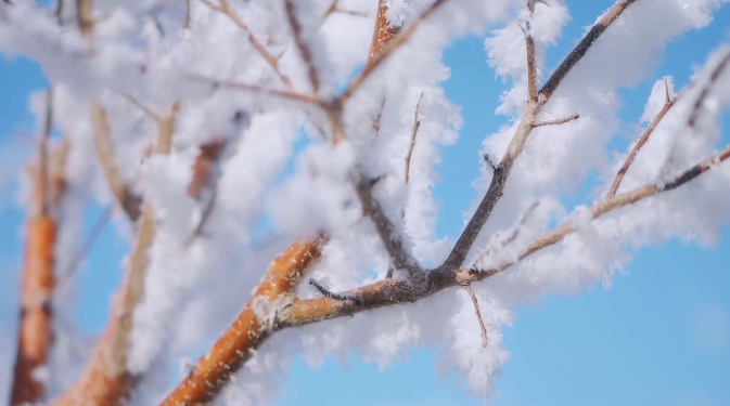 Soft rime embellishes surroundings of Dabancheng District in NW China's Xinjiang