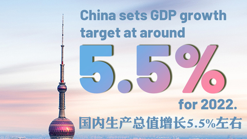 Infographics: Highlights of 2022 Government Work Report