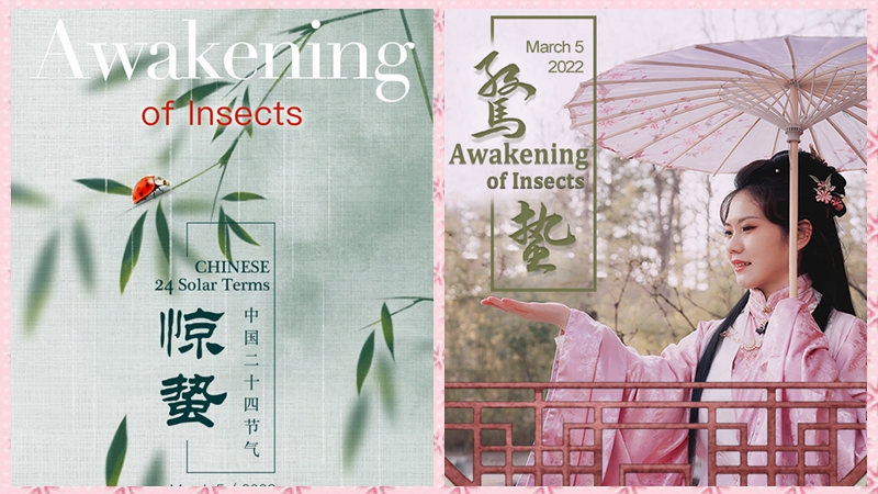 Calendar for Chinese 24 Solar Terms: Awakening of Insects