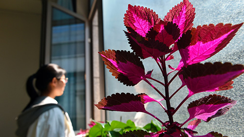 Educators call for more attention to the prevention and treatment of depression among adolescents