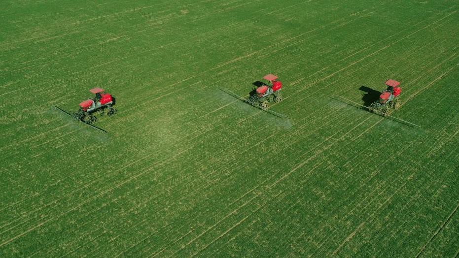 Spring scenery across China