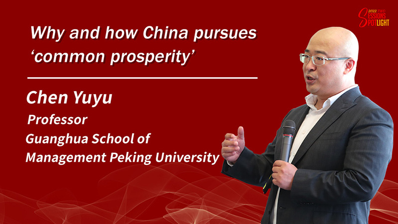 Two Sessions Spotlight | Why and how China pursues 'common prosperity'