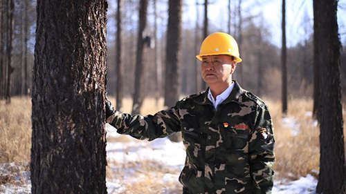 Forest ranger in north China’s Inner Mongolia musters renewed determination to protect local environment
