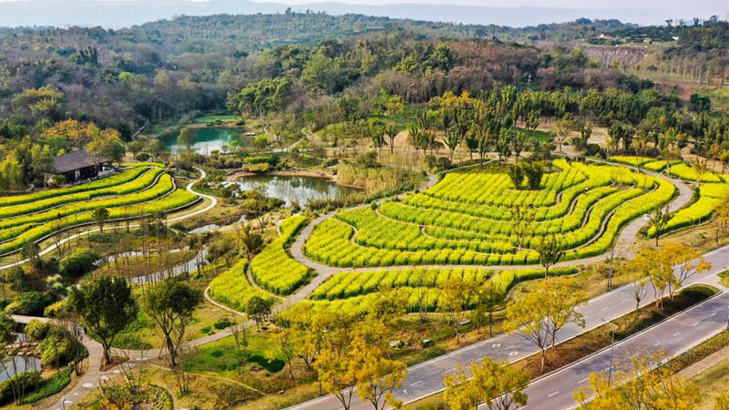 Spring scenery of Guangyang Isle in Chongqing