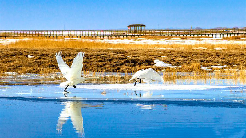 Enchanted winter scenery of Barkol, NW China's Xinjiang in early spring