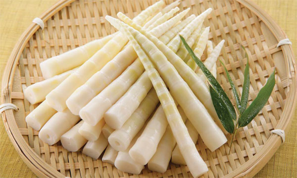 Bamboo shoots in season: taste of spring