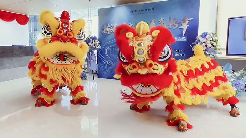 Lion dancing is the fierce flame that burns inside my heart