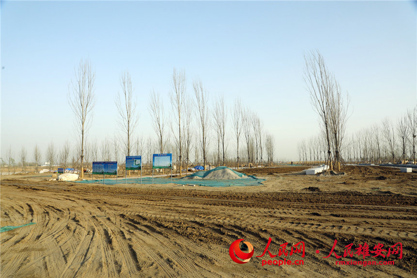 Desolate land in Xiongan New Area turned into popular park